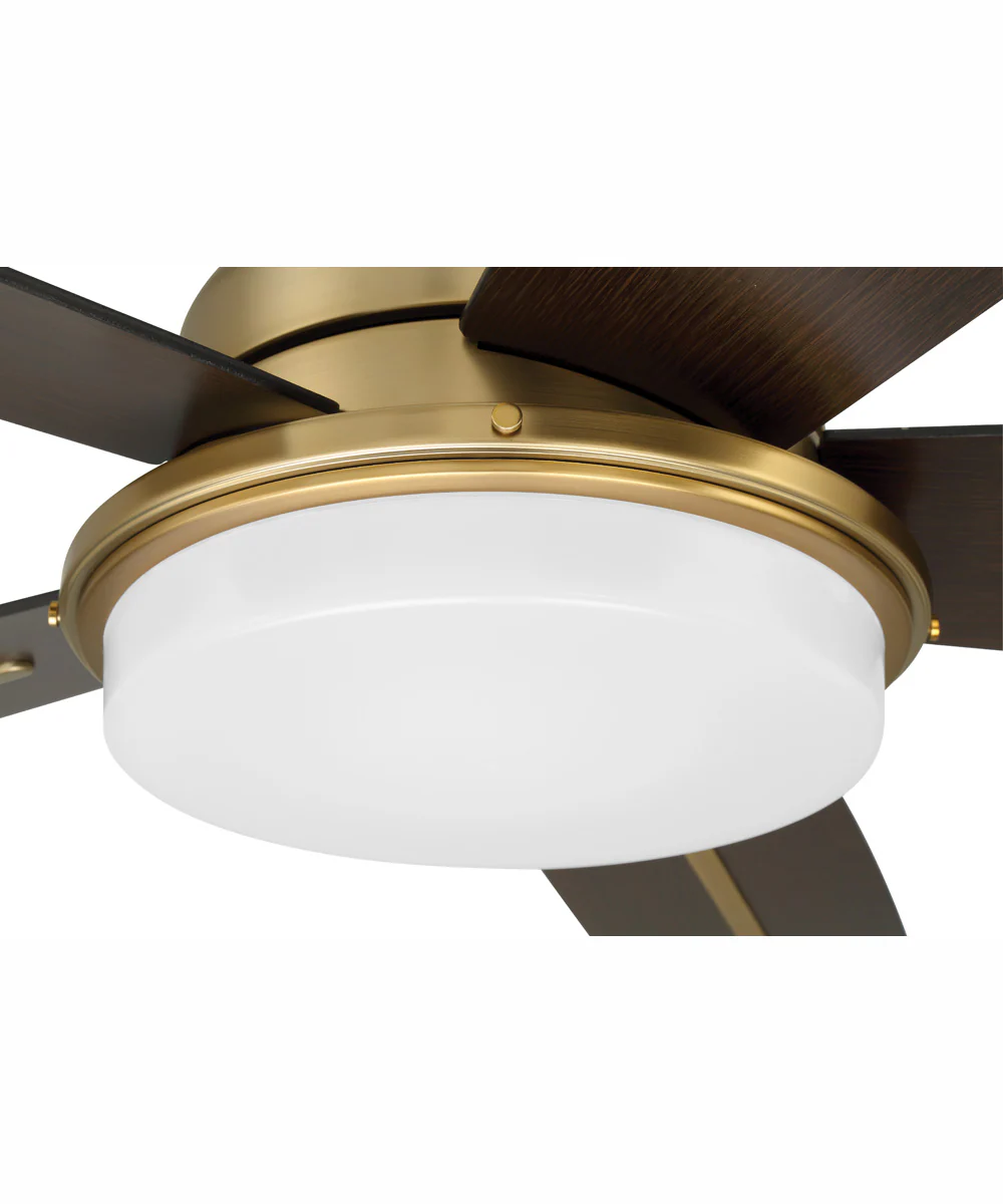54" Drew 1-Light Fan Satin Brass - Image 8