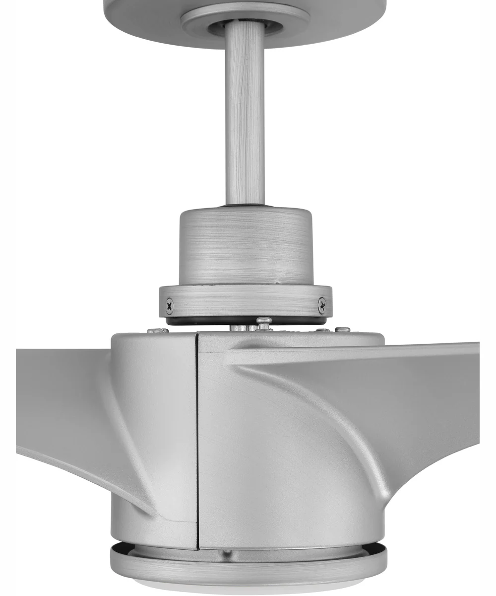 60" Phoebe 1-Light Indoor/Outdoor Ceiling Fan Painted Nickel - Image 4