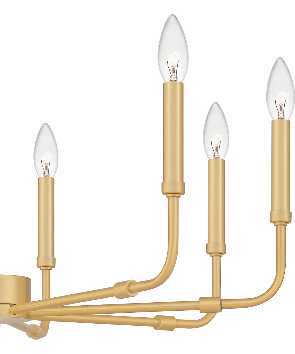 Abner 8-light Chandelier Aged Brass - Image 6