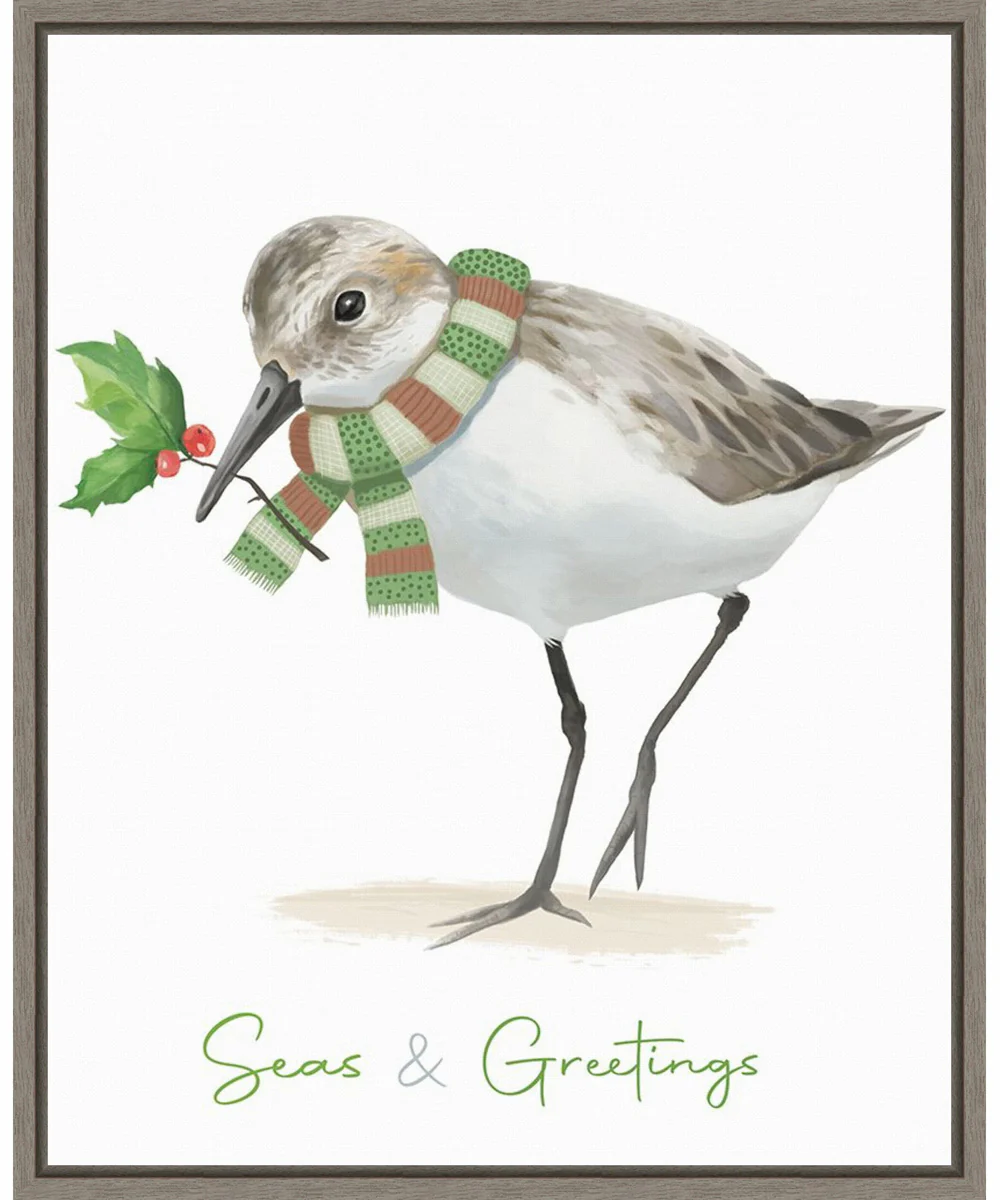 Framed Christmas Sandpiper II by Lucca Sheppard Canvas Wall Art Print (23 W x 28 H), Sylvie Greywash Frame
