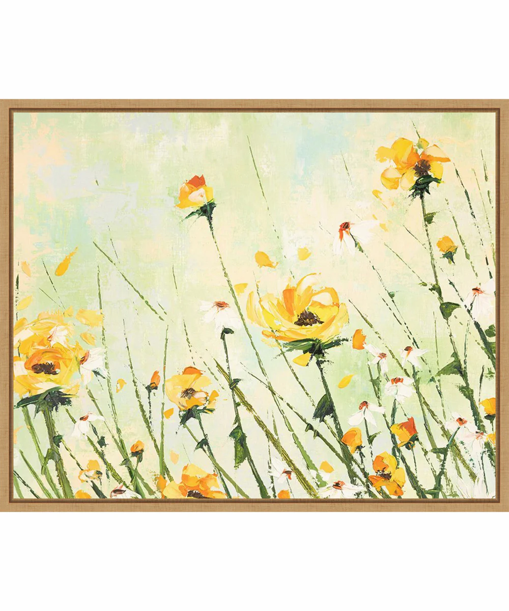 Framed Chrysanthemum and Daisy Field by Emma Coghlan Canvas Wall Art Print (28 W x 23 H), Sylvie Maple Frame