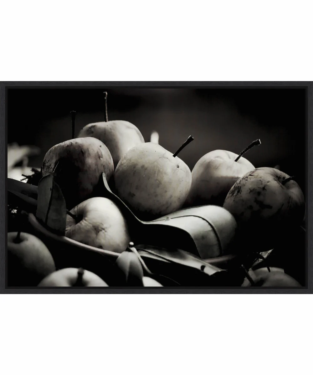 Framed Harvest Fruit by Alex Caminker Canvas Wall Art Print (33  W x 23  H), Sylvie Black Frame
