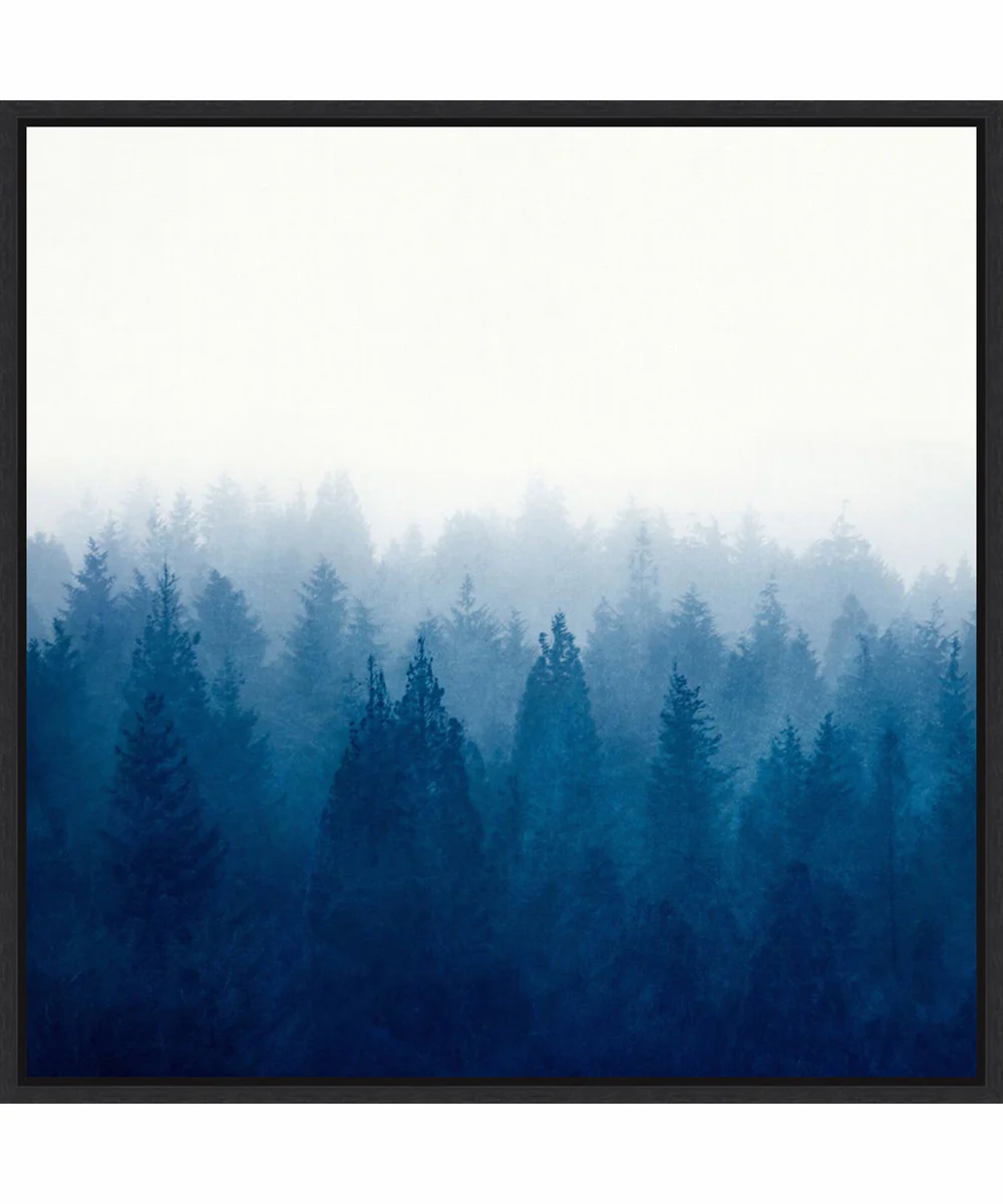 Framed Heart and Soul - Foggy Forest by Dirk Wustenhagen Canvas Wall Art Print (30 W x 30 H), Sylvie Black Frame