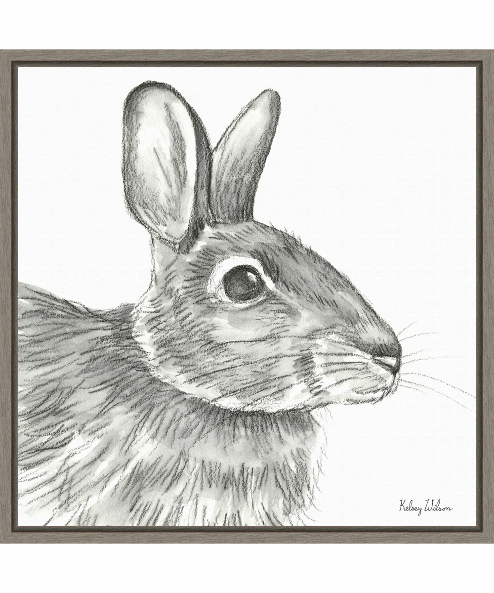 Framed Watercolor Pencil II Rabbit by Kelsey Wilson Canvas Wall Art Print (22 W x 22 H), Sylvie Greywash Frame
