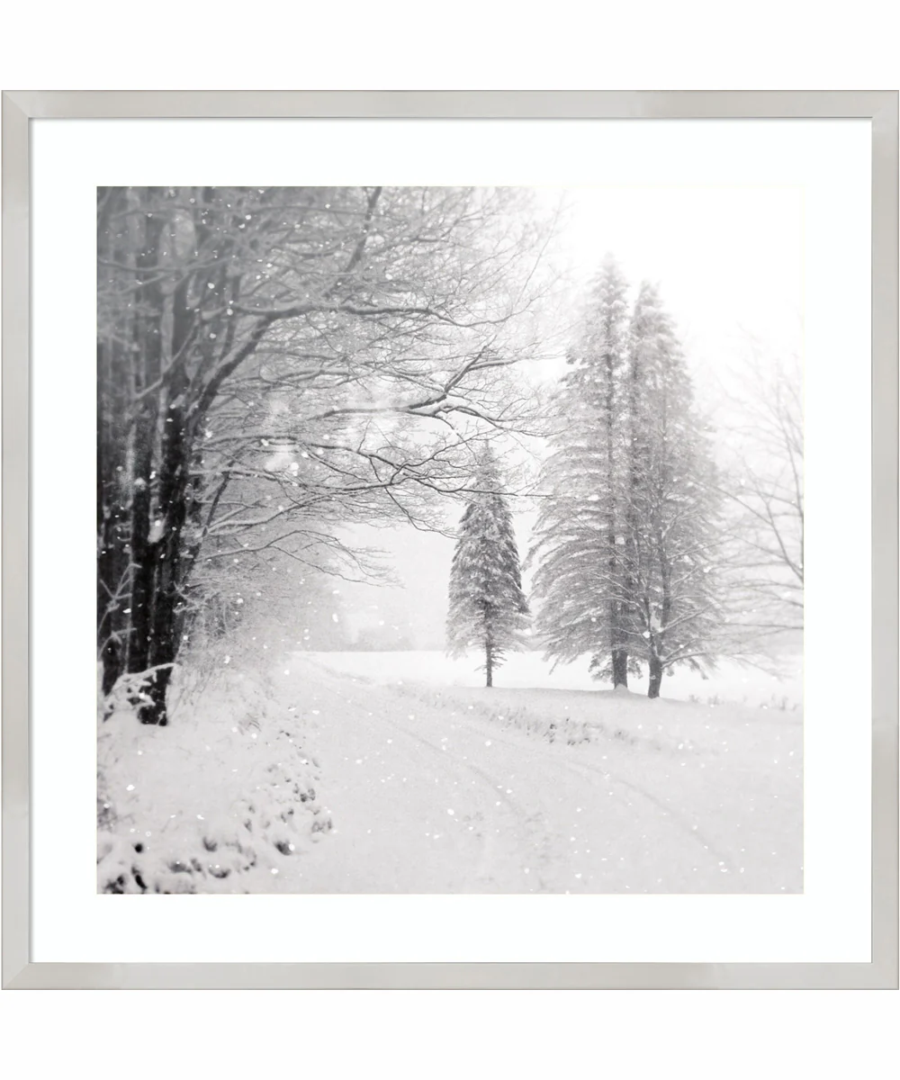 Let it Snow II BW by Sue Schlabach Wood Framed Wall Art Print (25 W x 25 H), Svelte Silver Frame