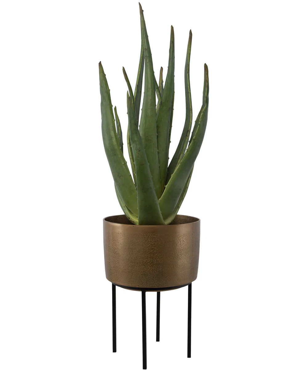 Arabia Aloe Planter - Image 3