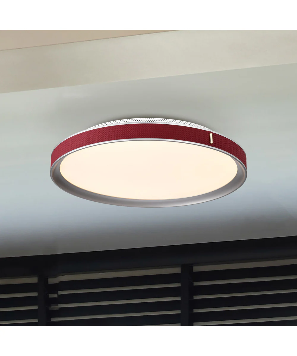 Bandon Close-to-Ceiling Gray - Image 3