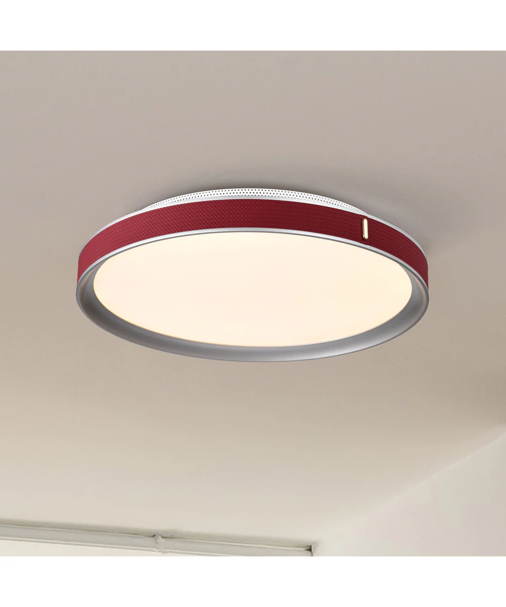 Bandon Close-to-Ceiling Gray - Image 5
