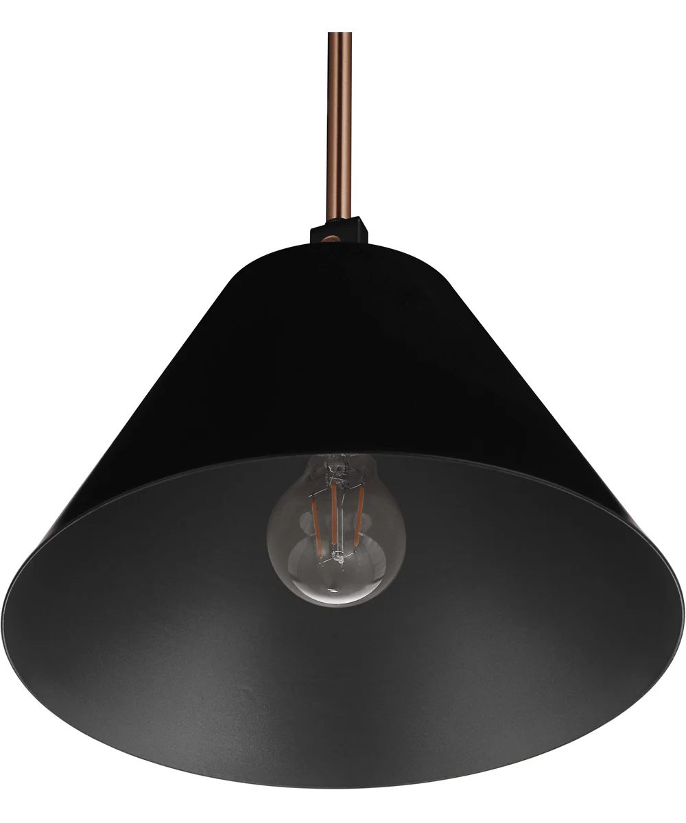 Blake 1-Light Lighting Flat Black/Satin Brass - Image 6