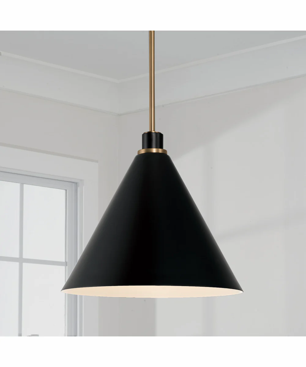 Bradley 1-Light Pendant Aged Brass and Black - Image 2