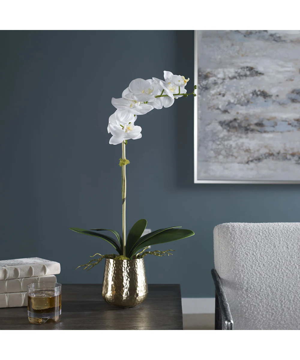 Cami Orchid With Brass Pot - Image 2