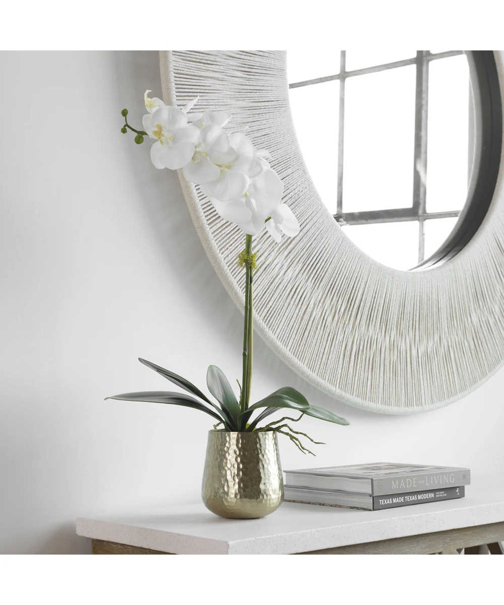 Cami Orchid With Brass Pot - Image 3