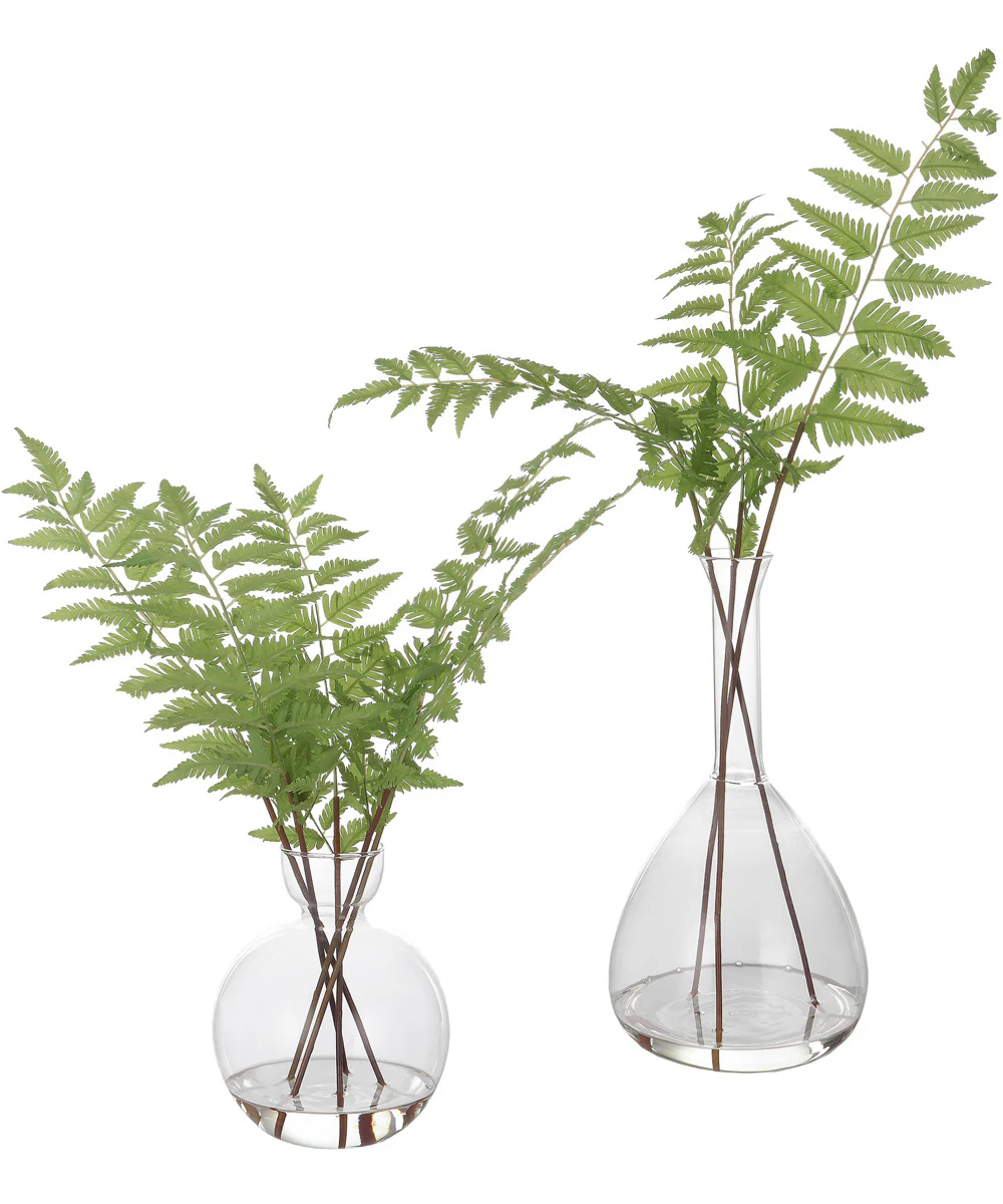 Country Ferns, Set of 2