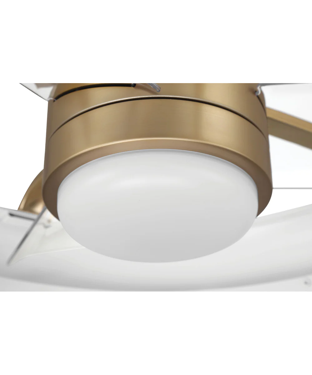 Taylor 24" 1-Light Ceiling Fan (Blades Included) White/Satin Brass - Image 6