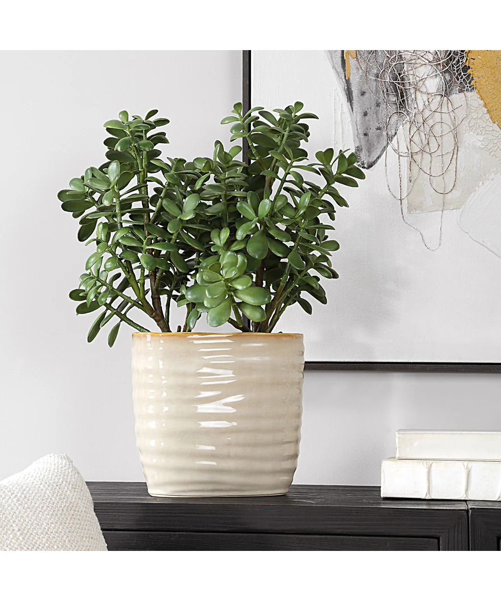 Crassula Jade Accent Plant - Image 2