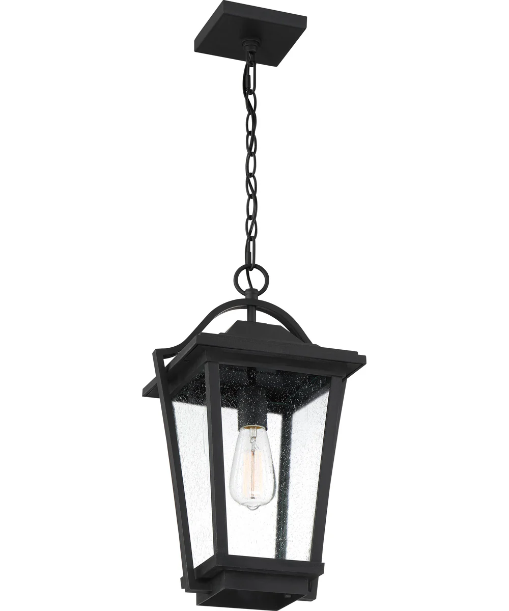 Darius Large 1-light Outdoor Pendant Light Coastal Armour Earth Black - Image 4
