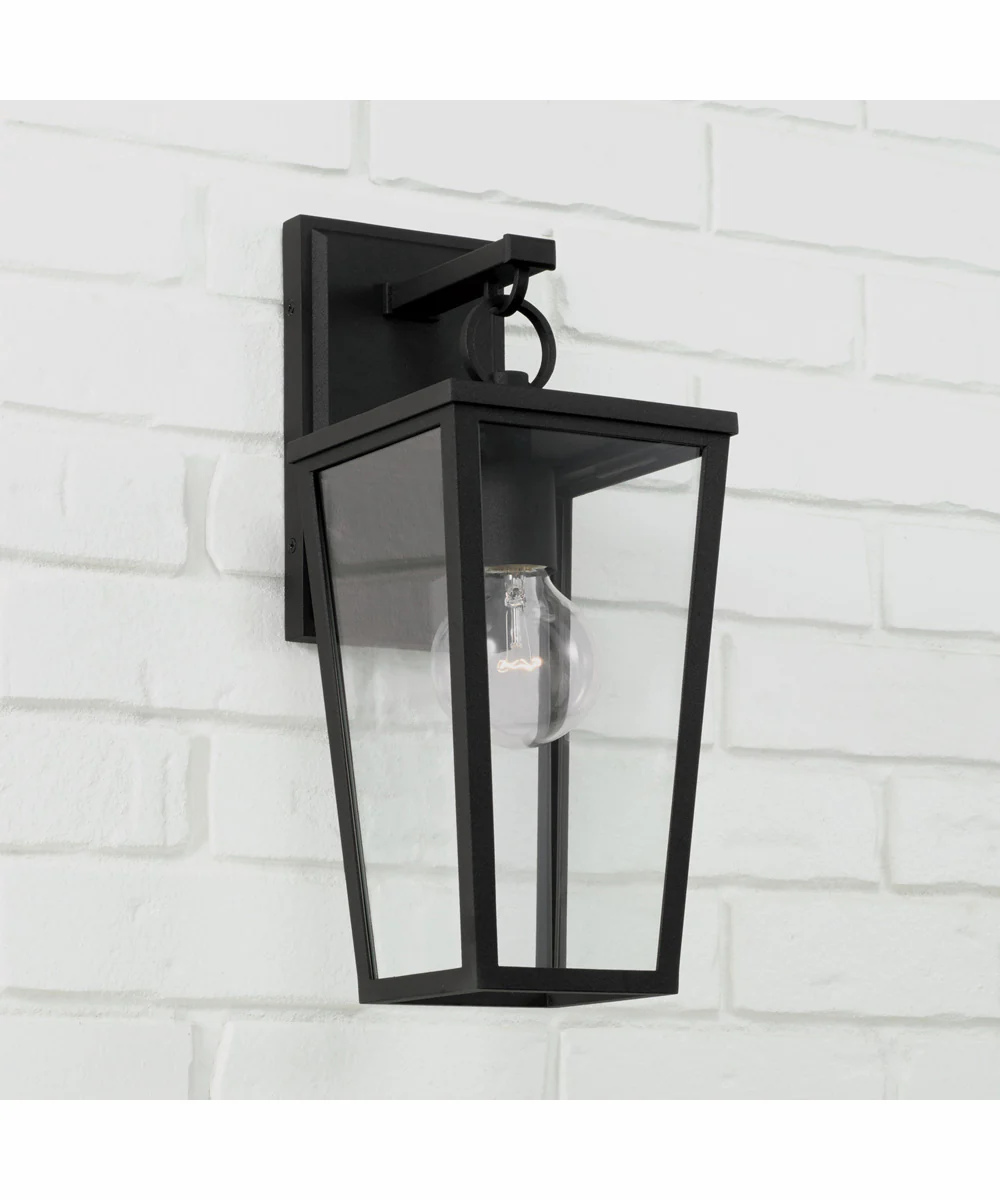 Elliott 1-Light Outdoor Wall-Lantern Rain or Shine - Black - Image 2