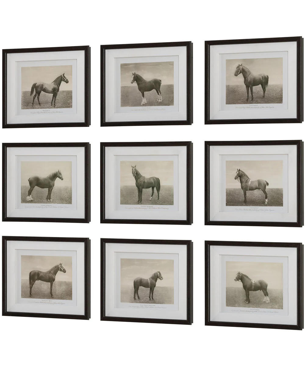Equine Dynasty Framed Prints, Set of 9 - Image 4