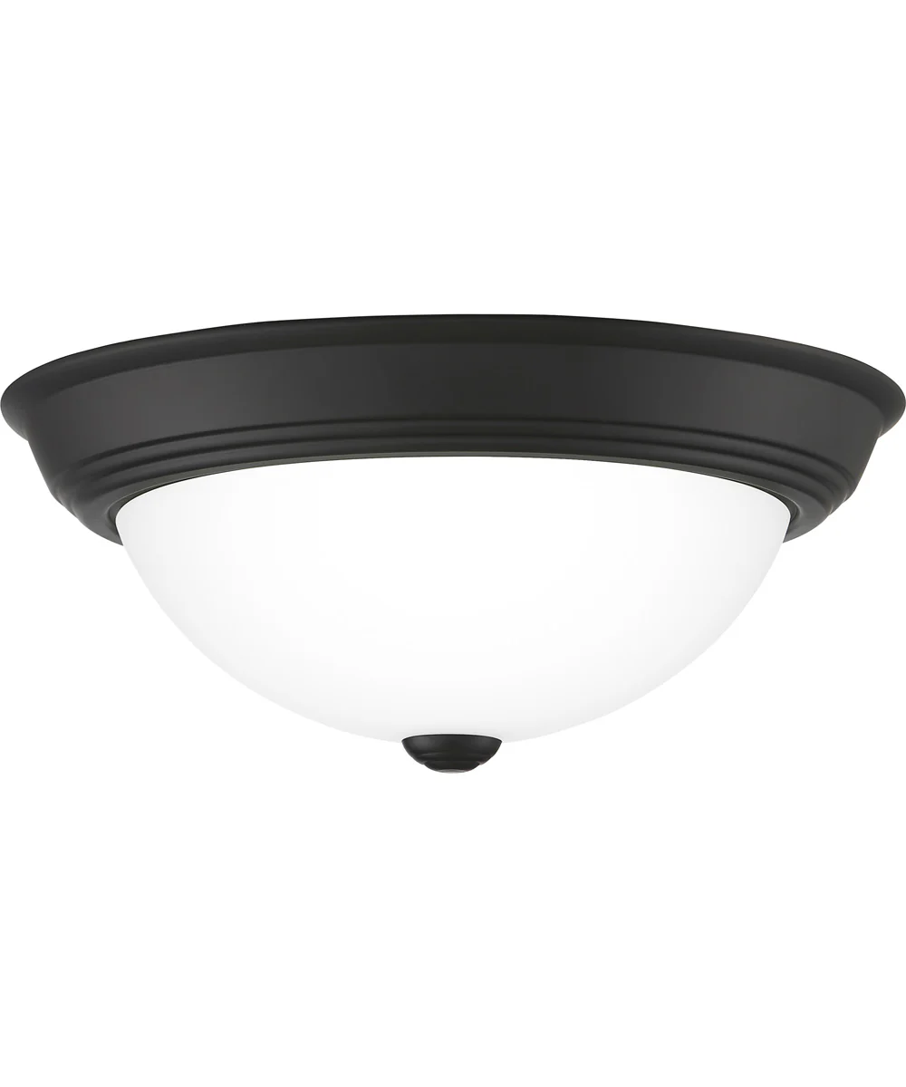 Erwin Medium 2-light Flush Mount Matte Black