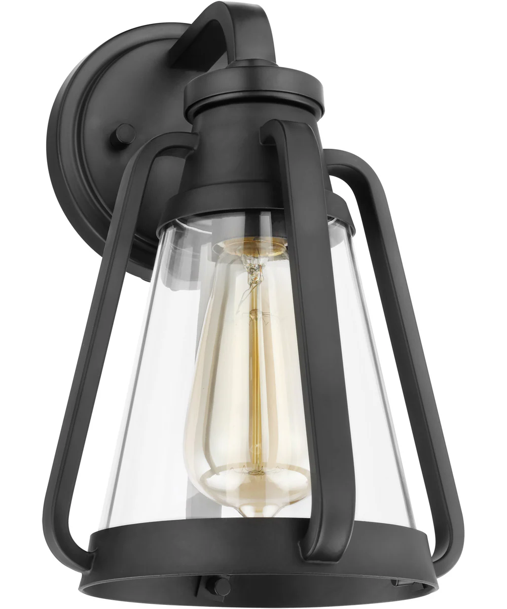Everett 1-Light Vanity & Wall Matte Black