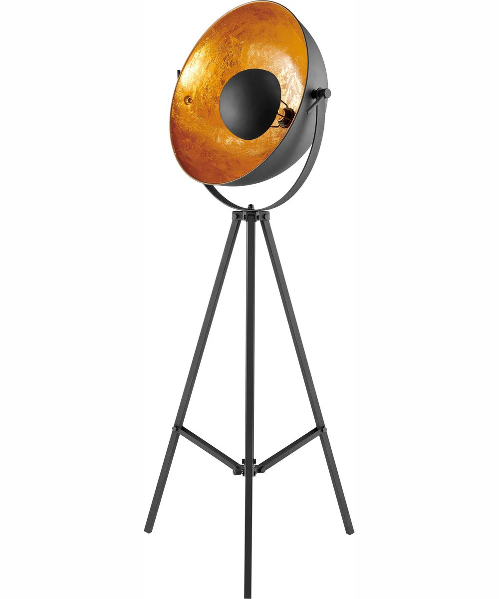 Gothard 1-Light Metal Floor Lamp Black/Aged Gold
