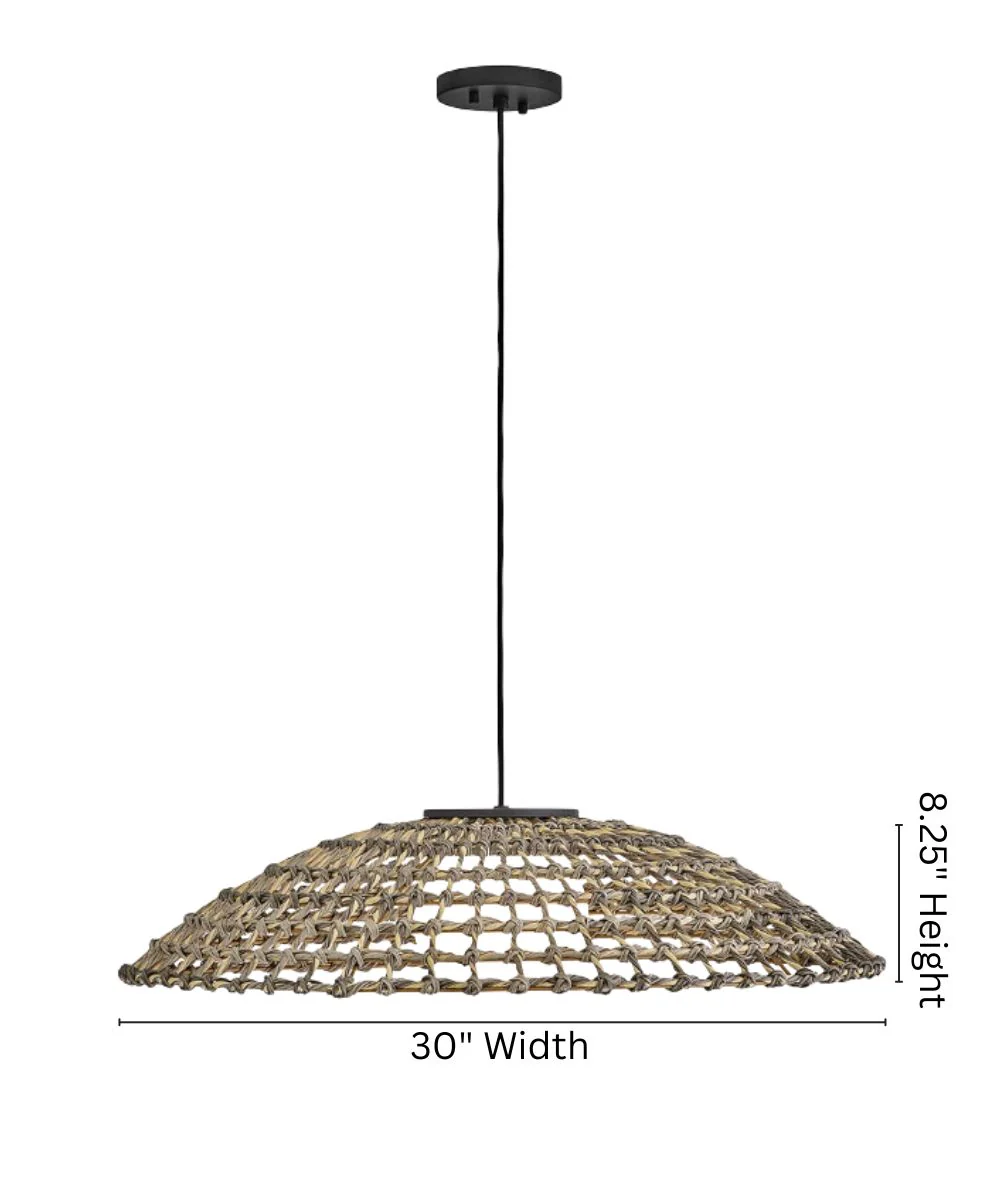 Arlen 1-Light Large Hanging Pendant 12v in Black - Image 3