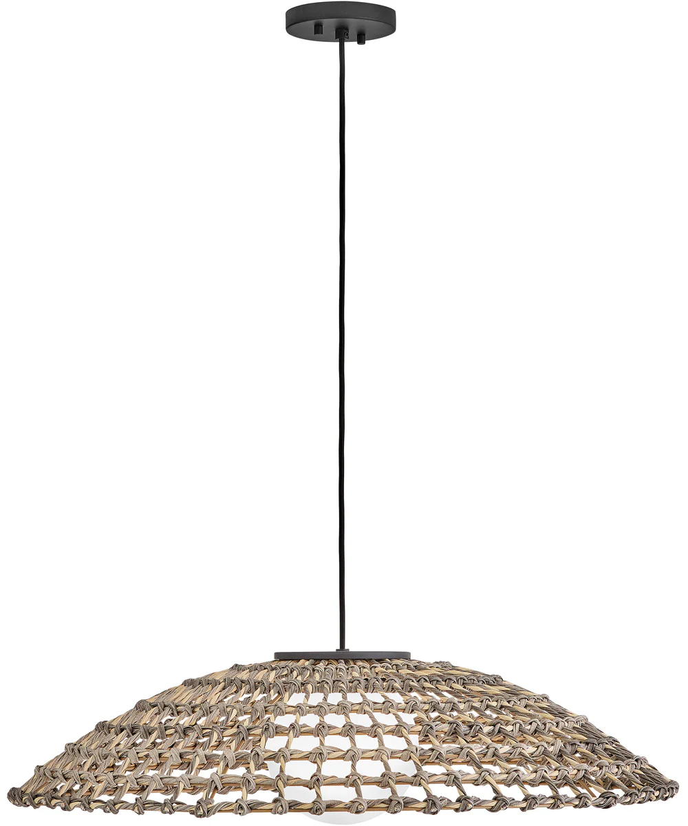Arlen 1-Light Large Hanging Pendant in Black - Image 2