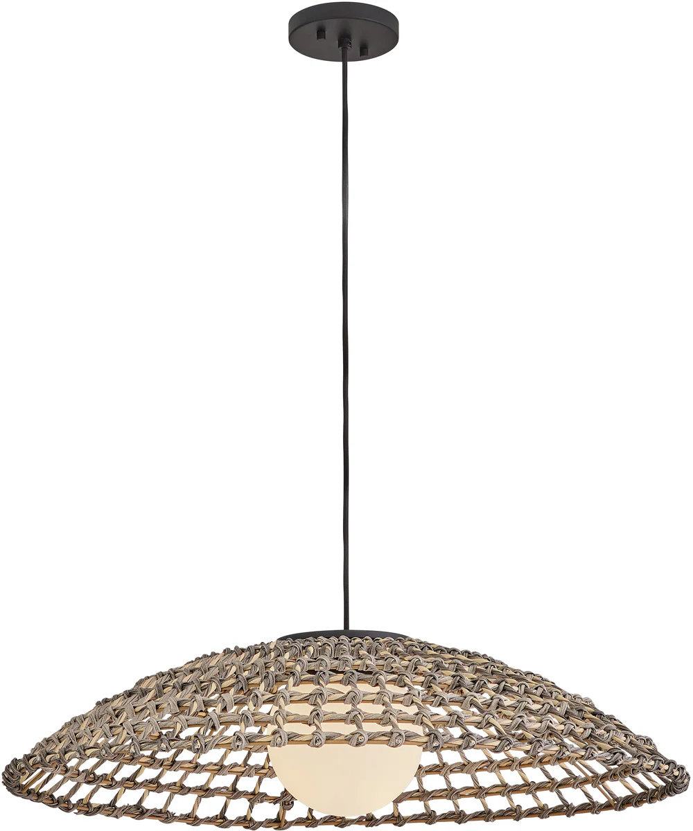 Arlen 1-Light Large Hanging Pendant in Black - Image 3