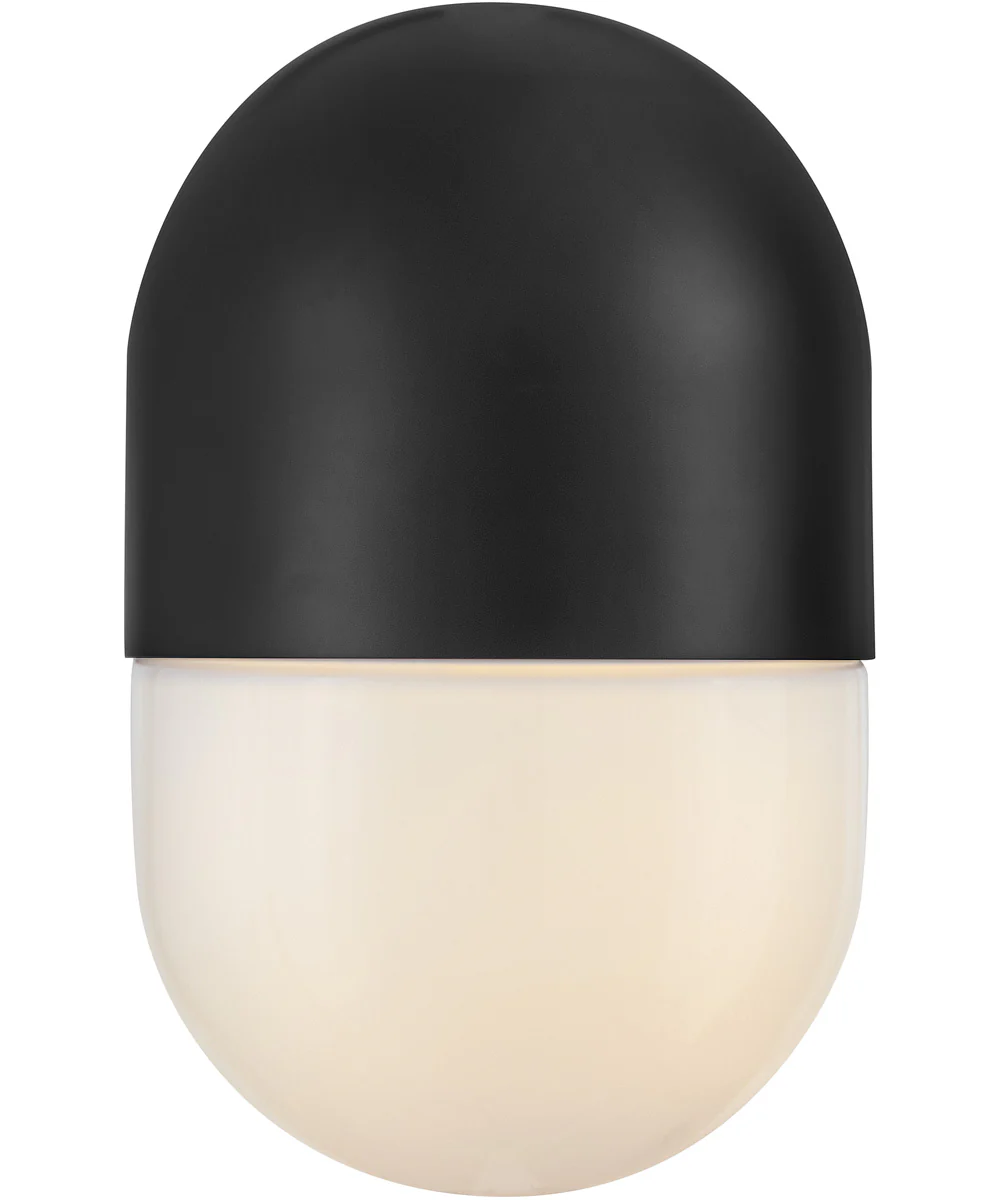 Bardi 1-Light Small Wall Mount Lantern in Black - Image 4