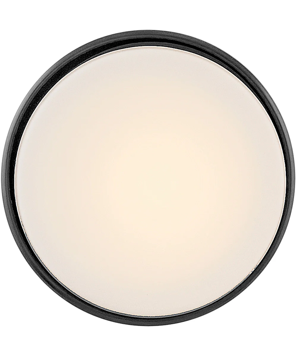 Cedric 1-Light Extra Small Flush Mount in Black - Image 4