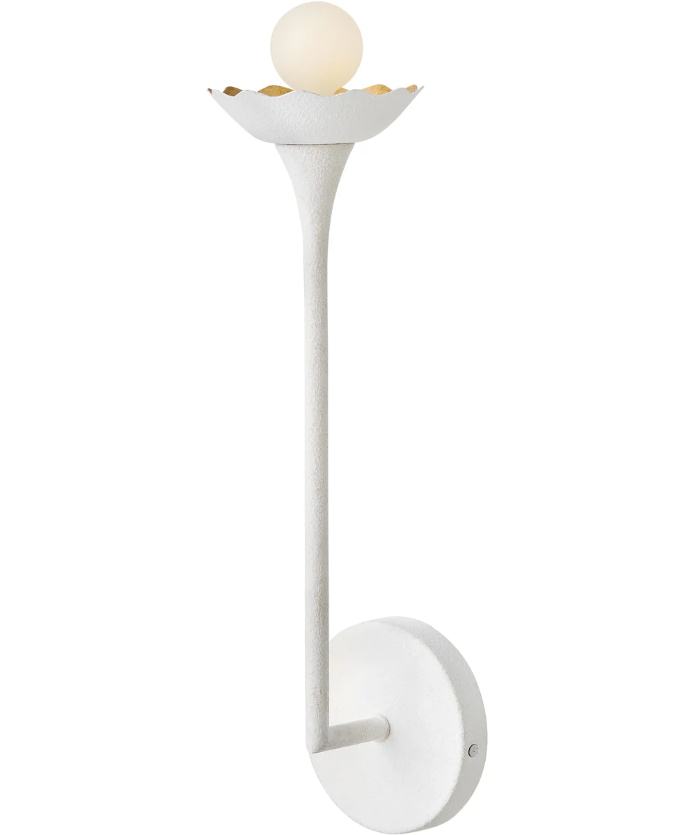 Darla 1-Light Medium Single Light Sconce in Textured Plaster
