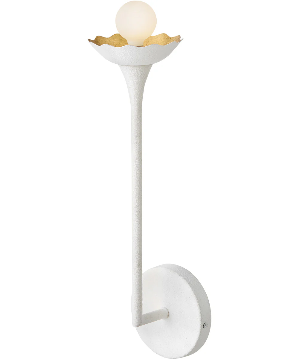 Darla 1-Light Medium Single Light Sconce in Textured Plaster - Image 4