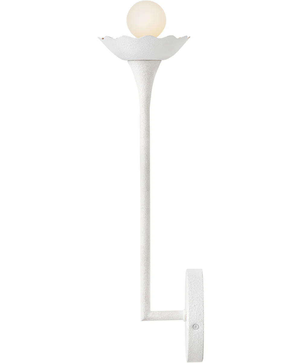 Darla 1-Light Medium Single Light Sconce in Textured Plaster - Image 5