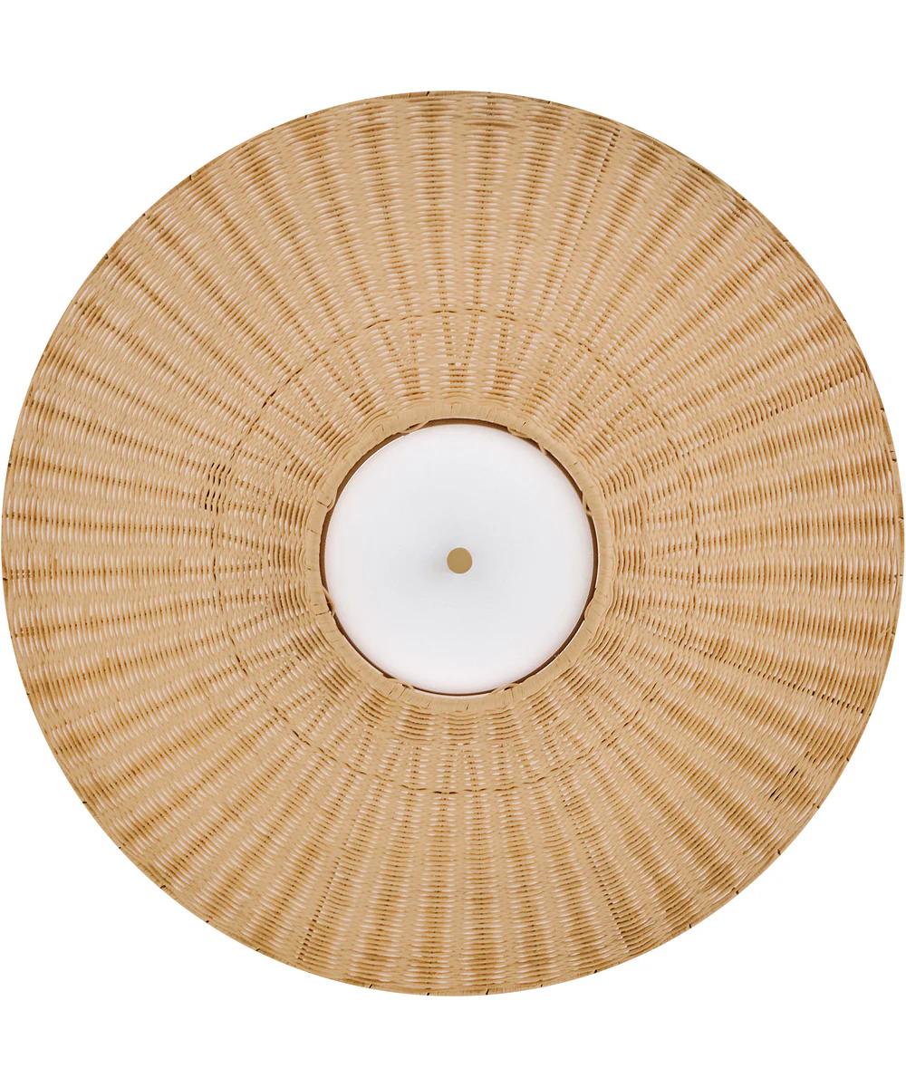 Delia 4-Light Small Convertible Chandelier in Heritage Brass - Image 4