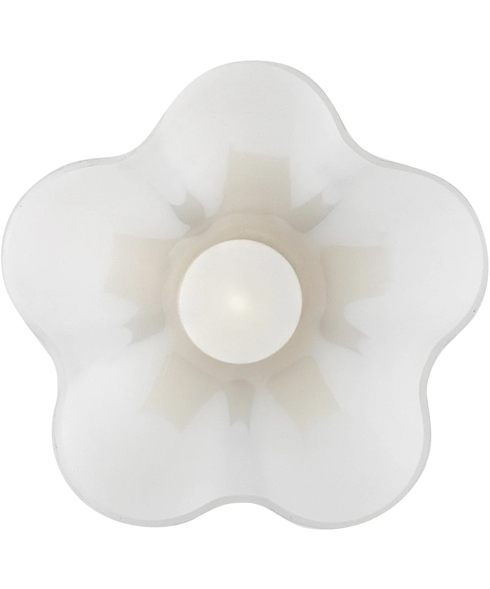 Honey 1-Light Small Pendant in Lacquered Brass - Image 6