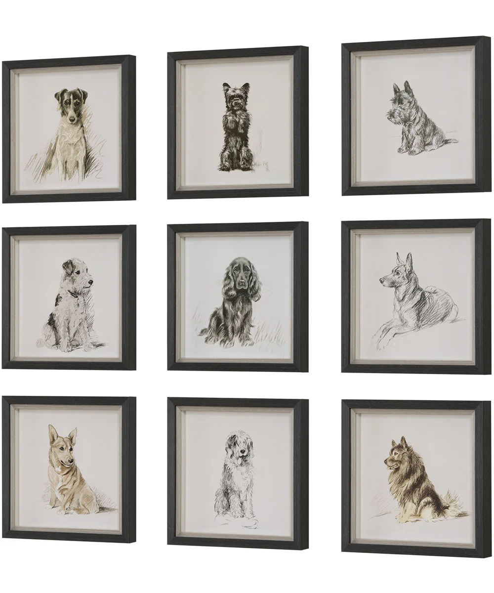 Loyal Companion Framed Dog Prints, Set of 9 - Image 4
