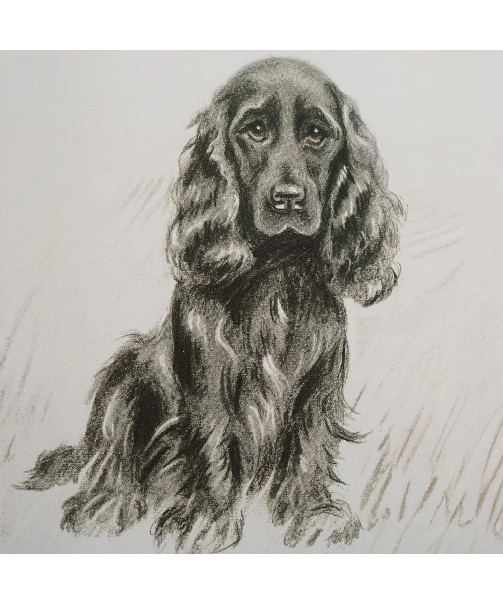 Loyal Companion Framed Dog Prints, Set of 9 - Image 5