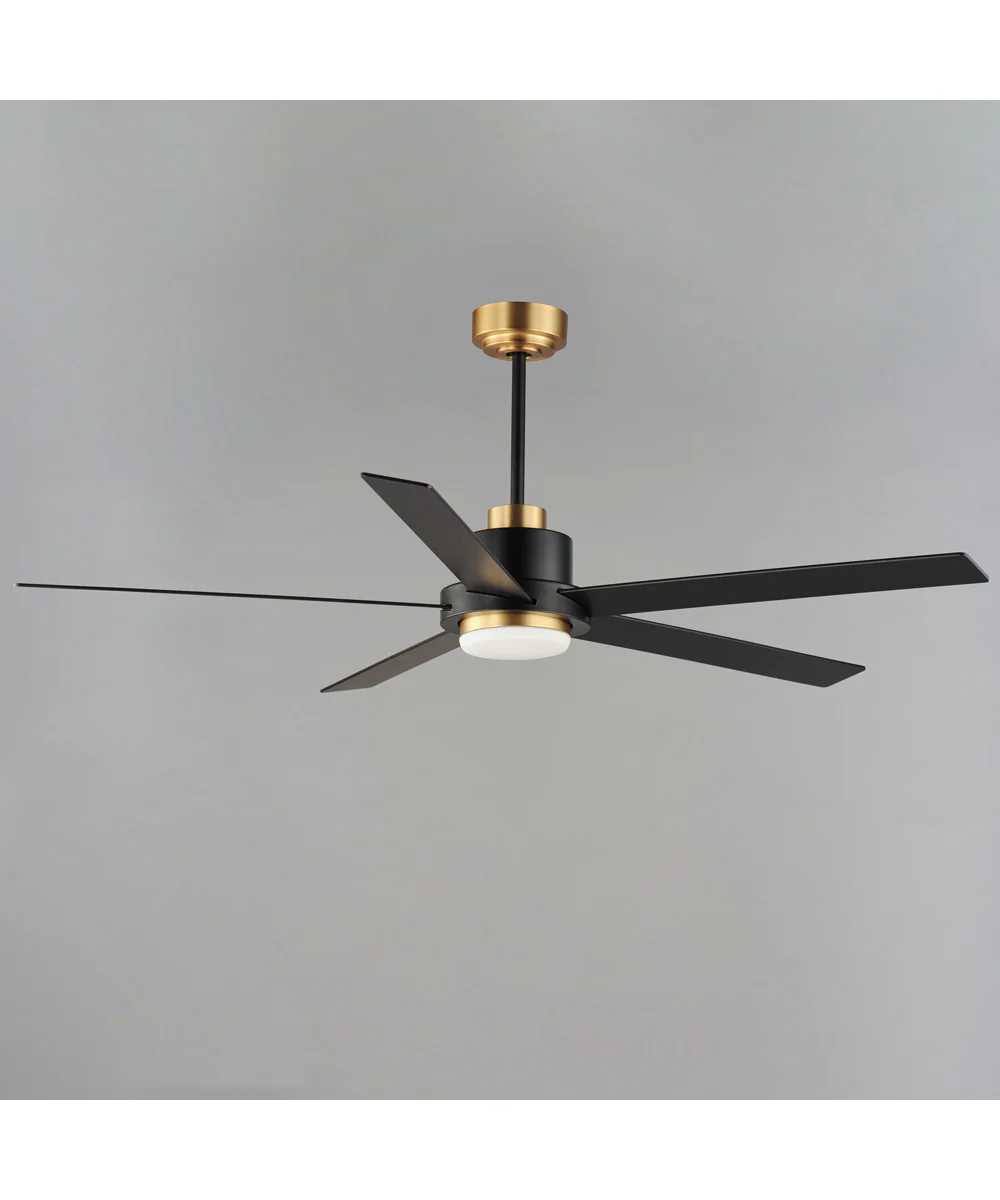 Daisy 60 inch 5-Blade Fan w LED Light Kit Black / Gold - Image 2