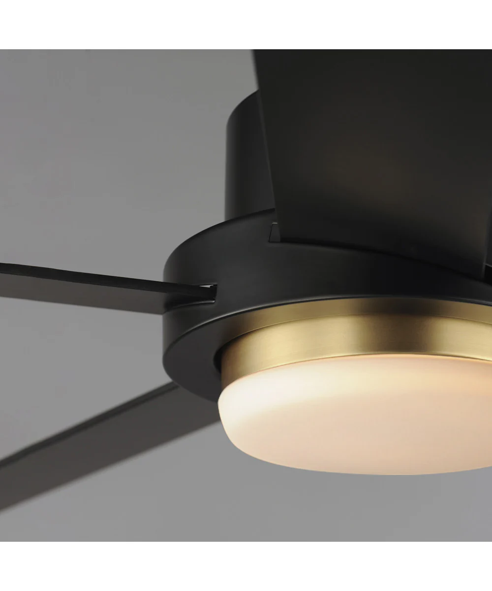 Daisy 60 inch 5-Blade Fan w LED Light Kit Black / Gold - Image 3
