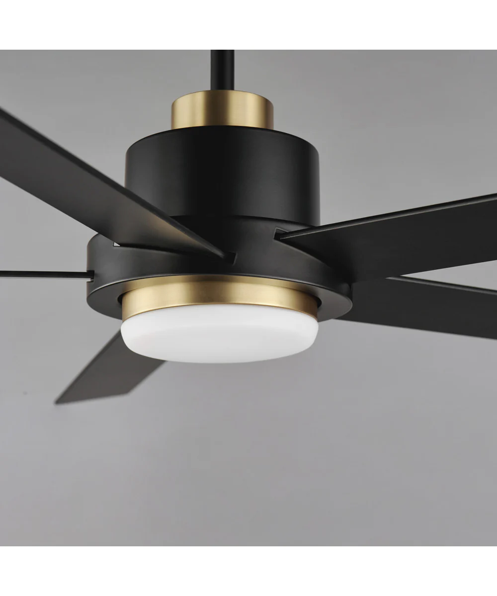 Daisy 60 inch 5-Blade Fan w LED Light Kit Black / Gold - Image 4