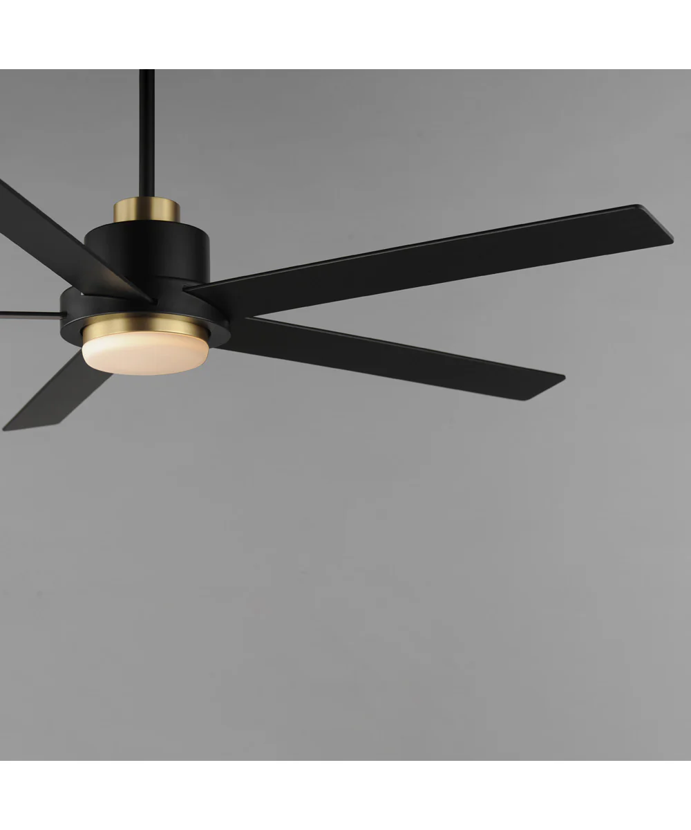 Daisy 60 inch 5-Blade Fan w LED Light Kit Black / Gold - Image 5