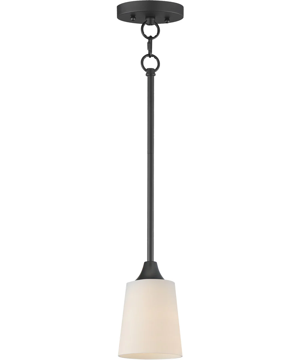 Hudson Mini Pendant Black