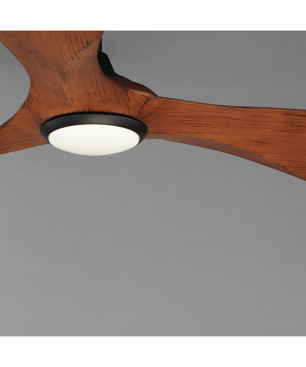 Keanu 56 inch Indoor/Outdoor Fan w LED Light Kit Black / Walnut - Image 3