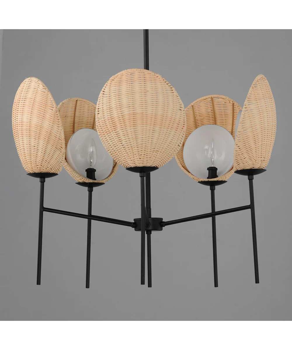 Maldives 5-Light Chandelier Black - Image 3