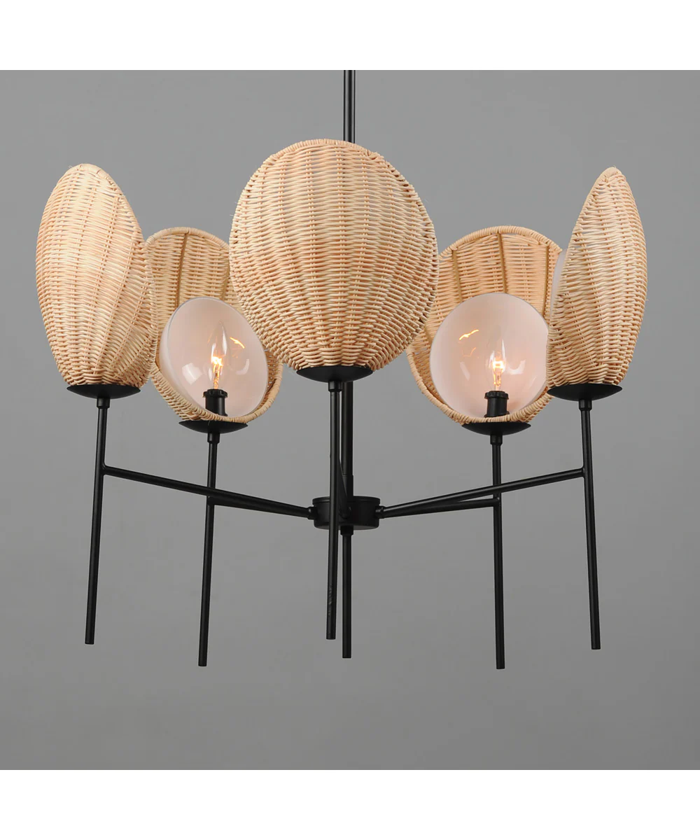 Maldives 5-Light Chandelier Black - Image 4