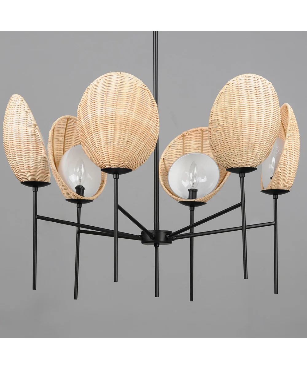 Maldives 6-Light Chandelier Black - Image 2