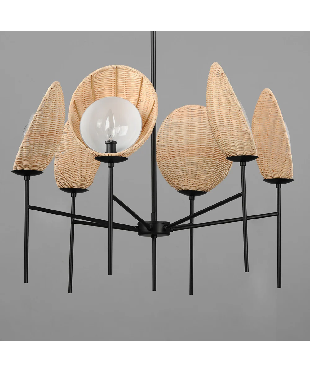 Maldives 6-Light Chandelier Black - Image 3