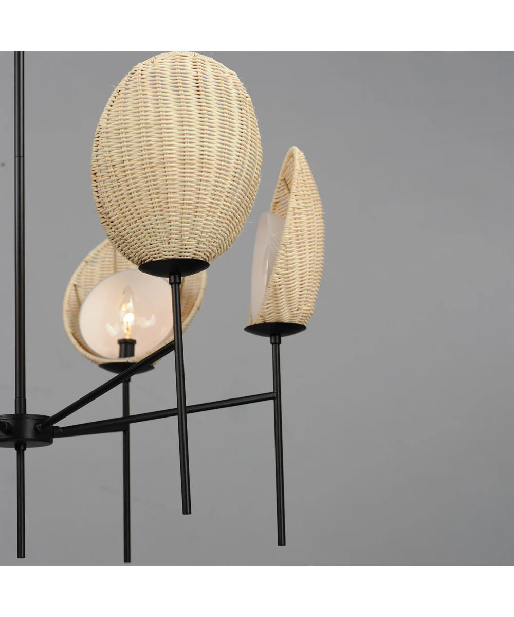 Maldives 6-Light Chandelier Black - Image 4