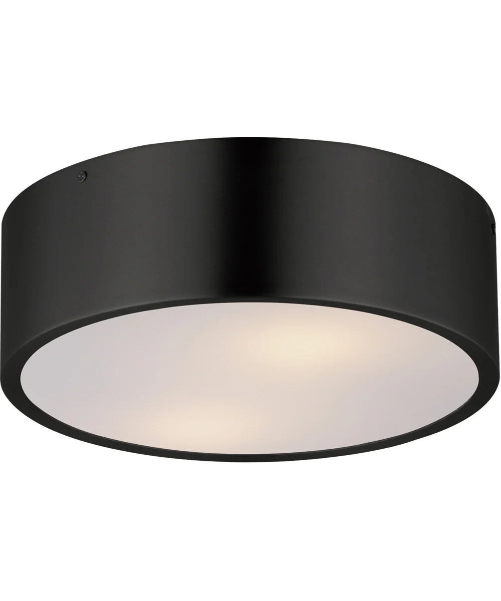 Tommy 12 inch  2-Light Surface Mount Black