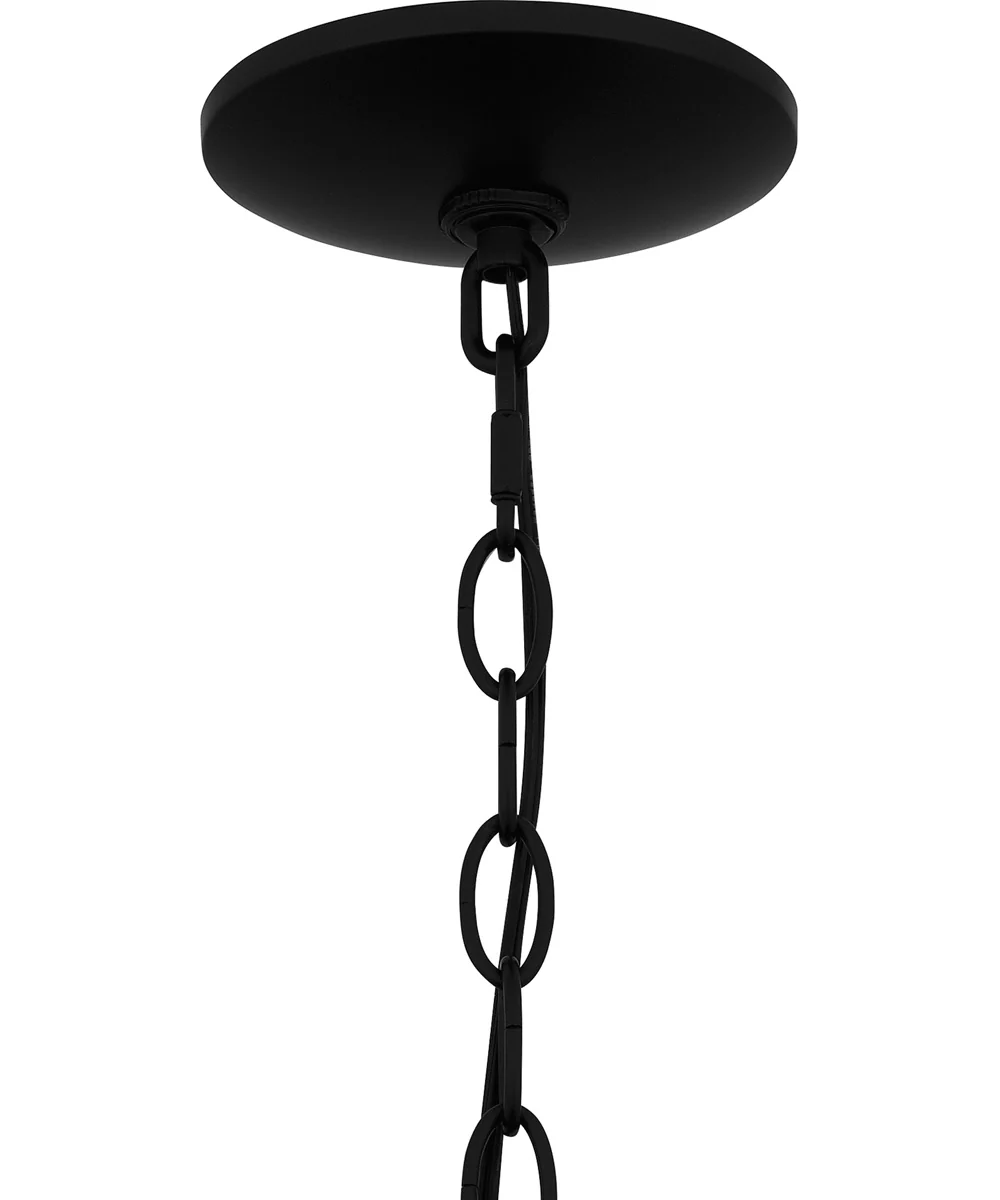 Noland Large 1-light Outdoor Pendant Light  Coastal Armour Aluminum Matte Black - Image 6